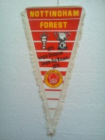 /album/nottingham-forest/nottingham-forest-fc-41-b-jpg/